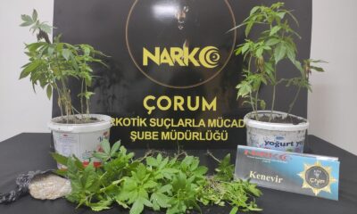 Çorum’da uyuşturucu operasyonu