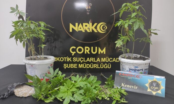 Çorum’da uyuşturucu operasyonu