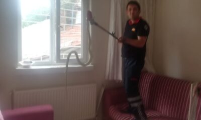 Çorum’da yılan paniği, eve giren yılanı itfaiye yakaladı