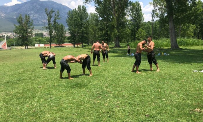 Çorum’lu pehlivanları Kırkpınar’a hazırlanıyorlar