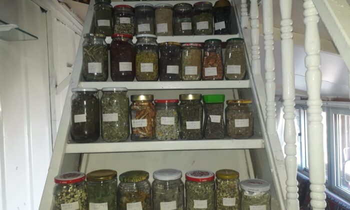Dağ evini tıbbi ve aromatik bitkiler müzesine dönüştürdü