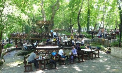 Dağılcak Tabiat Parkı doğa tutkunlarının akınına uğradı