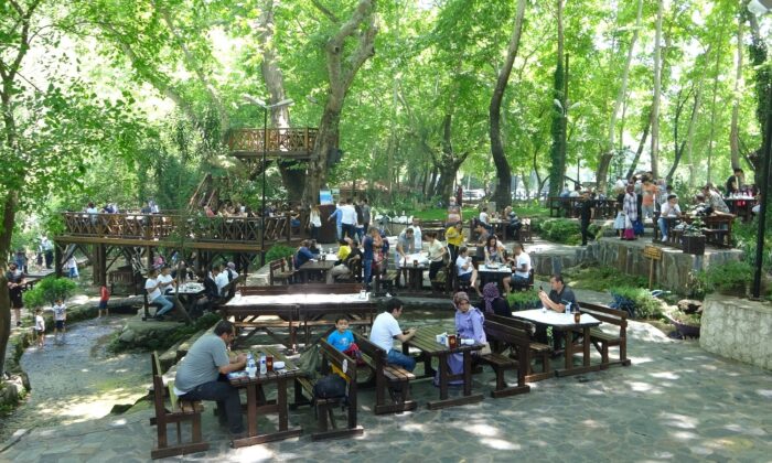 Dağılcak Tabiat Parkı doğa tutkunlarının akınına uğradı