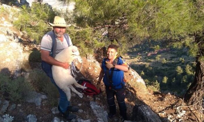 Dağlık alanda mahsur kalan kuzu kurtarıldı