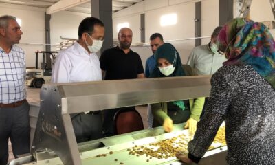 Dağtekin, OSB’de incelemelerde bulundu