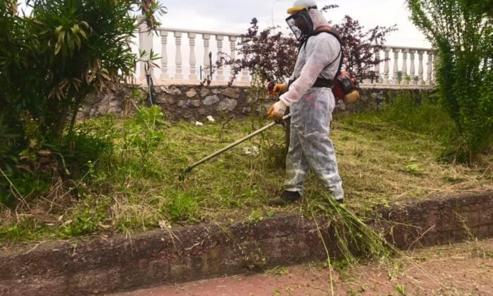 Daha yeşil bir Gülüç için ekipler seferber oldu