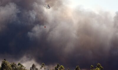 Dalaman Belediye Başkanı; “3 hektar yandı, kontrollü yanma devam ediyor”