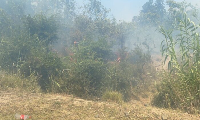 Dalaman’da cezaevi çevresi ve TİGEM arazilerinde yangın (1)