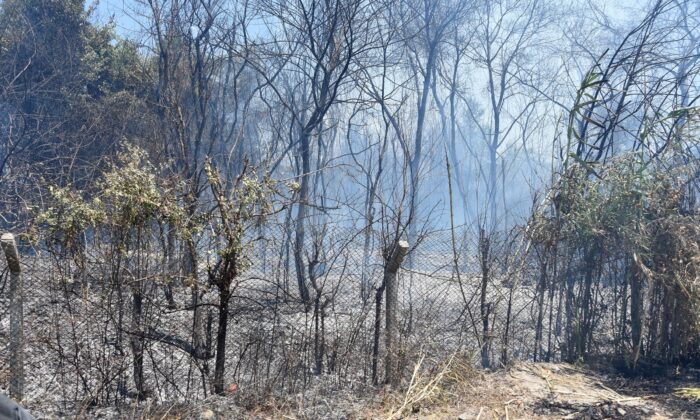 Dalaman’da cezaevi çevresi ve TİGEM arazilerinde yangın (2)