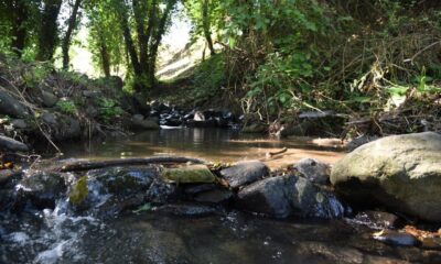 Damlar Vadisi Millet Bahçesi ilçeye kazandırılıyor