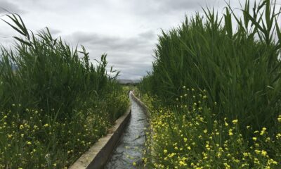 DAP’tan, 2021 yılında, 211 projeye 84 milyon lira destek