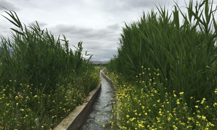 DAP’tan, 2021 yılında, 211 projeye 84 milyon lira destek