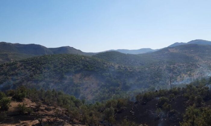 Dargeçit’te ormanlık alanda yangın