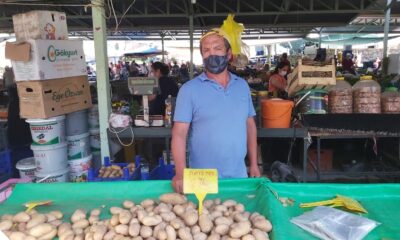 Datça’da patates üreticisi dertli