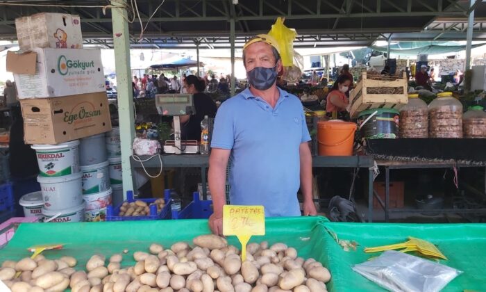 Datça’da patates üreticisi dertli