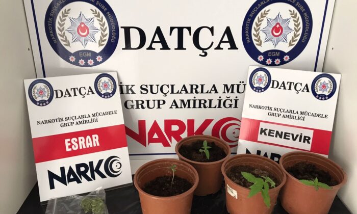Datça’da uyuşturucu baskını