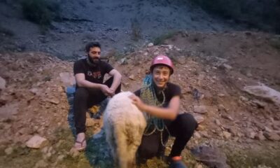 Dedesinin kayalıklarda mahsur kalan koyununu dağcı torunu kurtardı