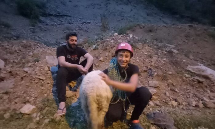 Dedesinin kayalıklarda mahsur kalan koyununu dağcı torunu kurtardı
