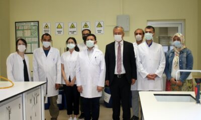 Deniz salyası yaralara merhem olacak