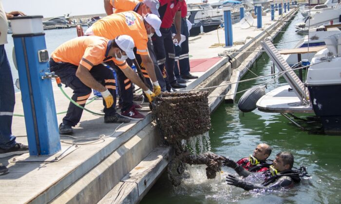 Denizden çıkanlar ‘pes’ dedirtti