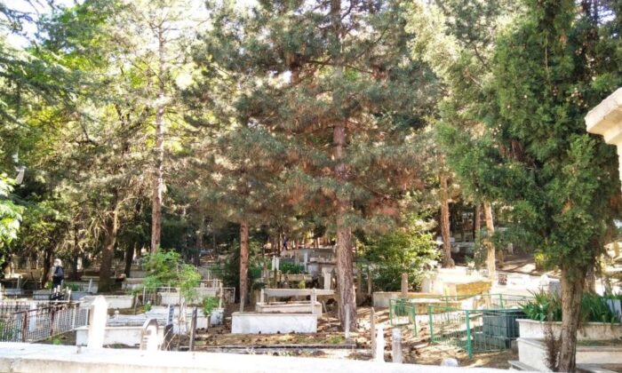 Denizli’de 2 ilçenin mezarlık yer seçimi raporları tanzim edildi