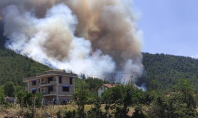 Denizli’de ormanlık alanda yangın