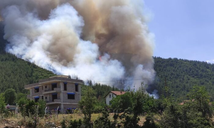 Denizli’de ormanlık alanda yangın