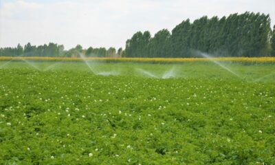 Denizli’de sulama sezonu başladı