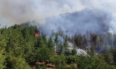 Denizli’deki orman yangını kontrol altına alındı