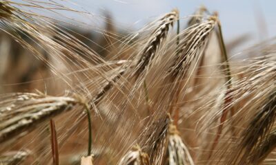 “Depresyonun altından glüten çıkabilir”