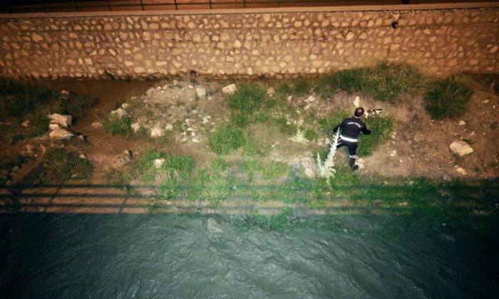 Derede mahsur kalan kedi ile kirpi kurtarıldı