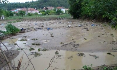 Dereler taştı, tarım arazileri sular altında kaldı