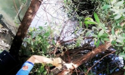 Dereye düşen kediyi itfaiye kurtardı