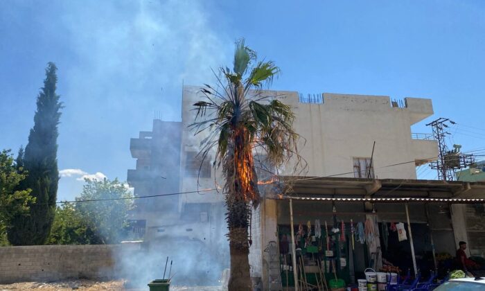 Dev palmiye ağacı alev topuna döndü