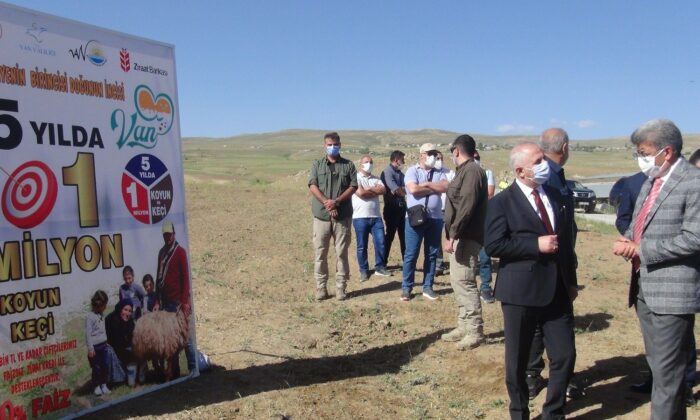 Devlet teşvikleriyle pandemi döneminde hayvancılığa ilgi arttı