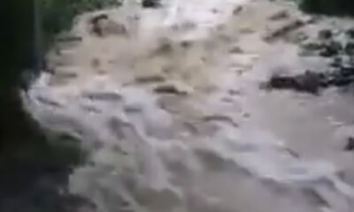 Devrek’te sel bahçe ve seraları vurdu