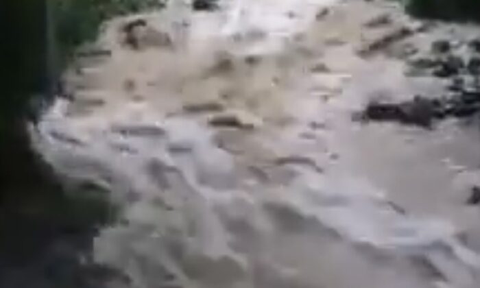 Devrek’te sel bahçe ve seraları vurdu