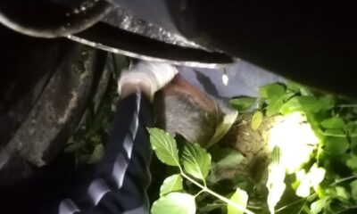 Devrilen traktörünün altında kalan sürücü hayatını kaybetti