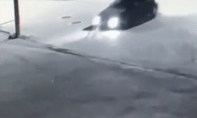 Dikkatsiz sürücü köpeği ezdi, o anlar kameraya yansıdı