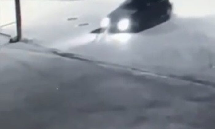 Dikkatsiz sürücü köpeği ezdi, o anlar kameraya yansıdı