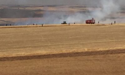Diyarbakır’da çıkan yangında 200 dönümlük buğday tarlası küle döndü