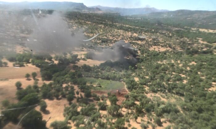 Diyarbakır’da dev uyuşturucu operasyonu: 2,5 milyon kök kenevir ele geçirildi, 26 kişi gözaltına alındı