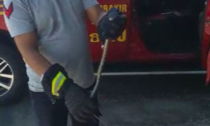 Diyarbakır’da itfaiye ekipleri, araca giren yılanı doğaya bıraktı