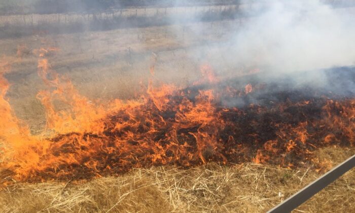 Doğa Koruma ve Milli Parklar ekibi bu defa alevlerle mücadele etti