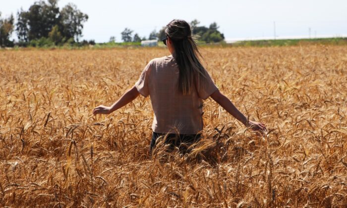 Doğu Anadolu’da sıcaklık mevsim normallerinin üzerinde seyretmeye devam edecek