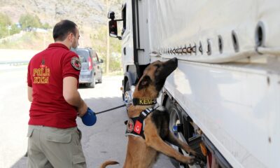 Doğu illerinden Karadeniz’e uyuşturucunun geçişine ’Alex’ engeli