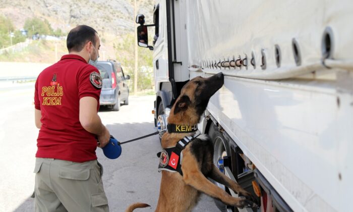 Doğu illerinden Karadeniz’e uyuşturucunun geçişine ’Alex’ engeli