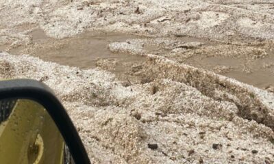 Dolu yağışı, yüzlerce dekar ekili alana zarar verdi