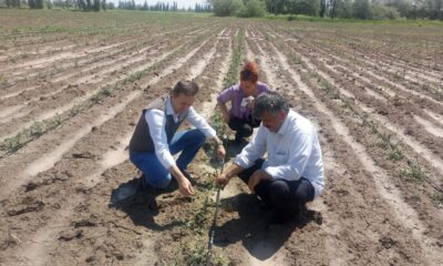 Dolu yağışında arazisi etkilenen çiftçiler hasar tespiti başvurusu yapabilecek