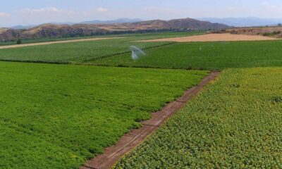 DSİ, Amasya’nın verimli topraklarına bereket katıyor